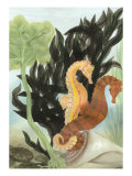 Seahorse Serenade I