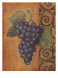 Scrolled Grapes II
