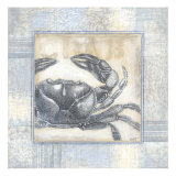 Driftwood Memories II
