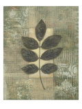 Leaf Textures III