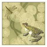 Frog Fable II