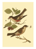 Antique Bird Pair I