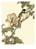 Oriental Bird on Branch I