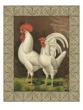 Roosters VI