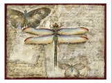 Poetic Dragonfly II