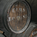 Cellar V