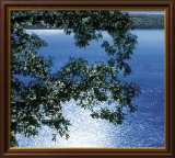 Silver Light  2006
