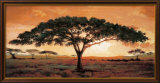 Memories of Masai Mara