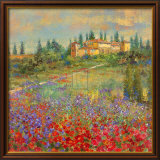 Provencal Village XI