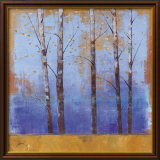Birch Trees I