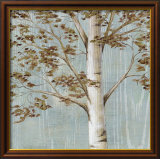 Birch Study I