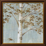 Birch Study II