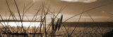 Setting Sun II