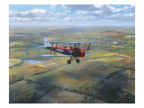 DH Tiger Moth