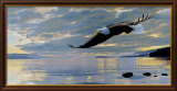 Dawn Flight