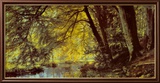 River Through the Woods