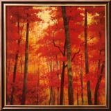 Vermilion Wood