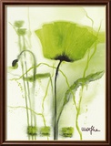 Coquelicot Vert II