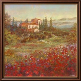 Provencal Village V