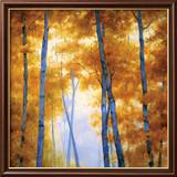 Blue Wood Canopy
