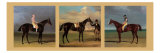 Equestrian Panel