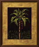 Tropical Paradise II