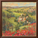 Provencal Village XIV