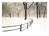 Central Park Snow