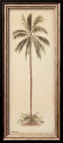 Palm Tree I