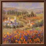 Provencal Village VII