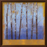 Birch Trees II
