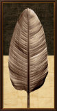 Palm Leaf II