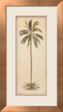 Palm Tree I