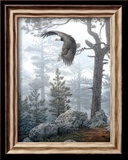 Shrouded Forest
