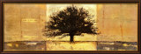 Great Woods III