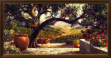 Napa Patio