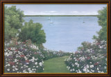 Summer Vista