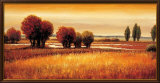 Golden Reflections I