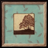 Birch
