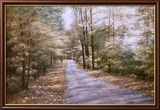 Autumn Path