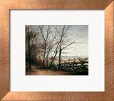 Split Rail