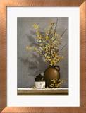 Forsythia