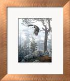 Shrouded Forest