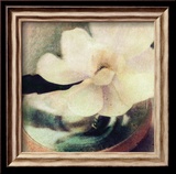 Nature's Blossoms III