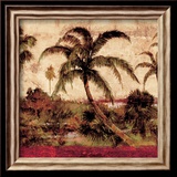 Palmas I
