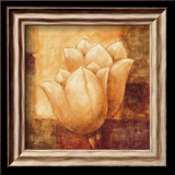 Two Tulips I