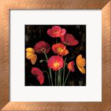 Poppy Bouquet I
