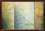 Ferns and Grasses
