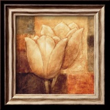 Two Tulips II