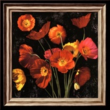 Poppy Bouquet II